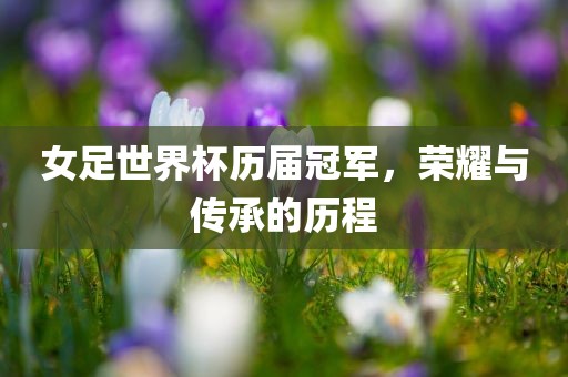 女足世界杯历届冠军，荣耀与传承的历程