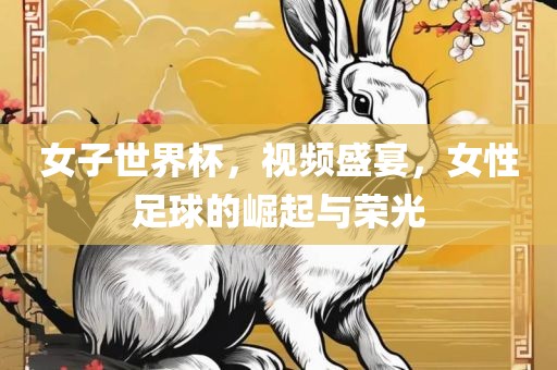 女子世界杯，视频盛宴，女性足球的崛起与荣光
