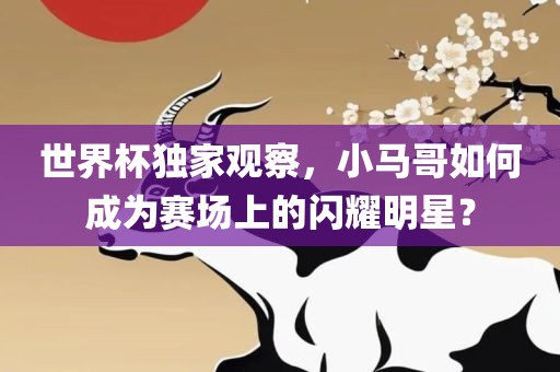 世界杯独家观察，小马哥如何成为赛场上的闪耀明星？