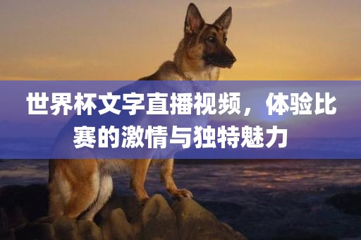 世界杯文字直播视频，体验比赛的激情与独特魅力