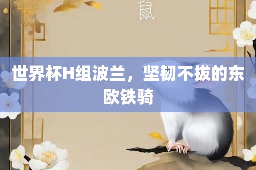 世界杯H组波兰，坚韧不拔的东欧铁骑