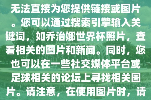 关于乔治娜的世界杯照片，我无法直接为您提供链接或图片。您可以通过搜索引擎输入关键词，如乔治娜世界杯照片，查看相关的图片和新闻。同时，您也可以在一些社交媒体平台或足球相关的论坛上寻找相关图片。请注意，在使用图片时，请遵守版权法规。