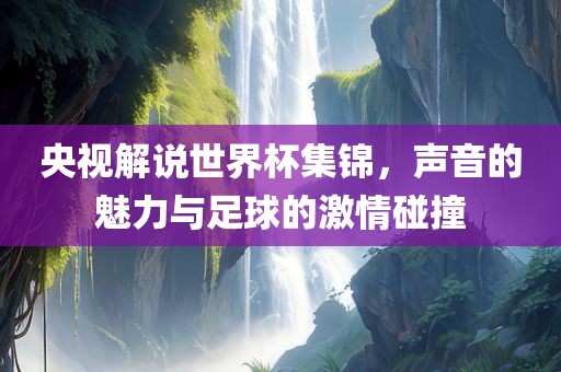 央视解说世界杯集锦，声音的魅力与足球的激情碰撞
