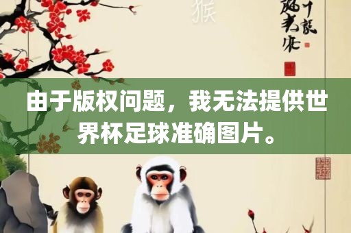 由于版权问题，我无法提供世界杯足球准确图片。