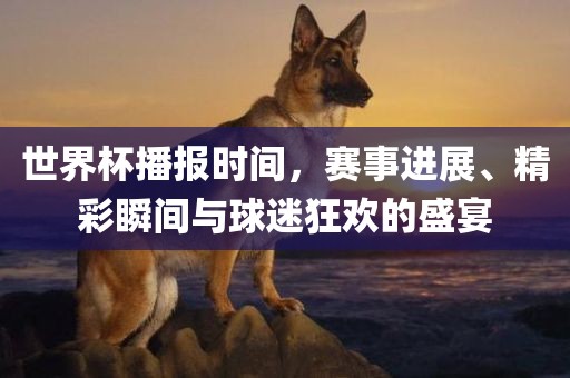 世界杯播报时间，赛事进展、精彩瞬间与球迷狂欢的盛宴