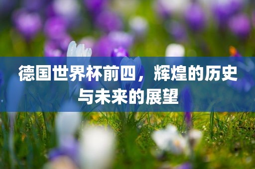 德国世界杯前四，辉煌的历史与未来的展望