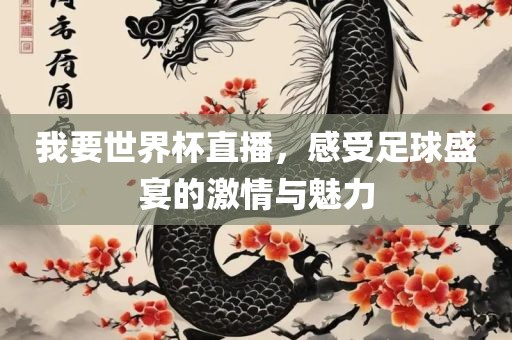 我要世界杯直播，感受足球盛宴的激情与魅力