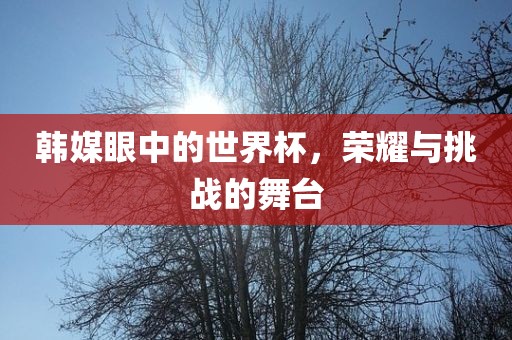 韩媒眼中的世界杯，荣耀与挑战的舞台