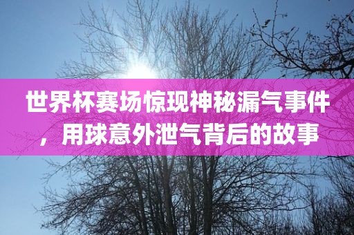 世界杯赛场惊现神秘漏气事件，用球意外泄气背后的故事