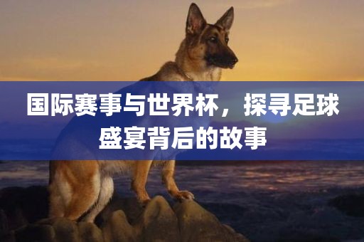 国际赛事与世界杯，探寻足球盛宴背后的故事