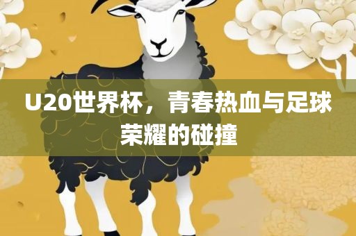 U20世界杯，青春热血与足球荣耀的碰撞