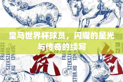 皇马世界杯球员，闪耀的星光与传奇的续写