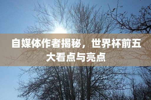 自媒体作者揭秘，世界杯前五大看点与亮点