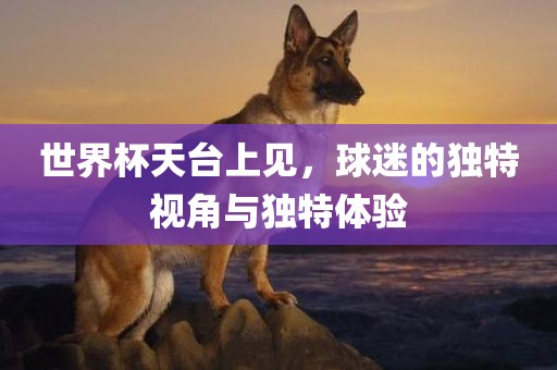 世界杯天台上见，球迷的独特视角与独特体验
