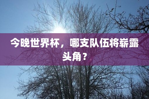 今晚世界杯，哪支队伍将崭露头角？