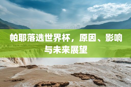 帕耶落选世界杯，原因、影响与未来展望