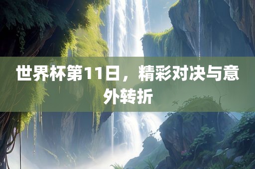 世界杯第11日，精彩对决与意外转折