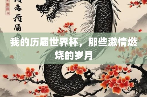 我的历届世界杯，那些激情燃烧的岁月