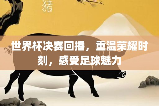 世界杯决赛回播，重温荣耀时刻，感受足球魅力