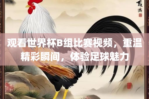 观看世界杯B组比赛视频，重温精彩瞬间，体验足球魅力