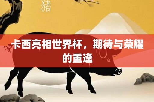 卡西亮相世界杯，期待与荣耀的重逢