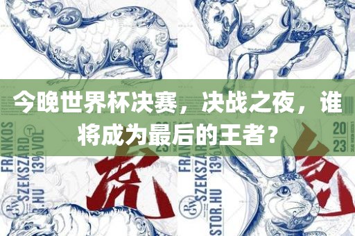 今晚世界杯决赛，决战之夜，谁将成为最后的王者？