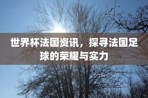世界杯法国资讯，探寻法国足球的荣耀与实力