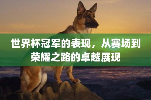 世界杯冠军的表现，从赛场到荣耀之路的卓越展现