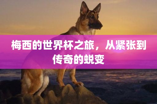 梅西的世界杯之旅，从紧张到传奇的蜕变