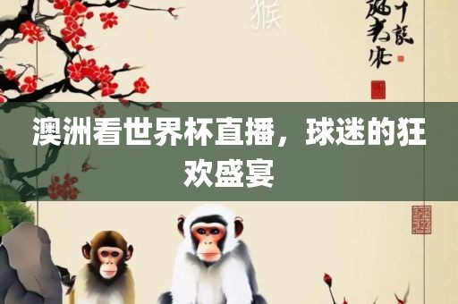 澳洲看世界杯直播，球迷的狂欢盛宴