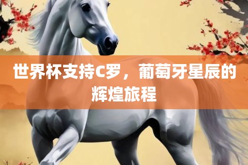 世界杯支持C罗，葡萄牙星辰的辉煌旅程