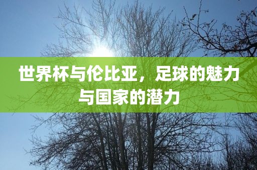 世界杯与伦比亚，足球的魅力与国家的潜力