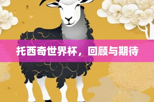 托西奇世界杯，回顾与期待