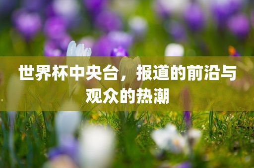 世界杯中央台，报道的前沿与观众的热潮