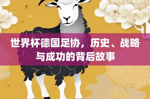 世界杯德国足协，历史、战略与成功的背后故事