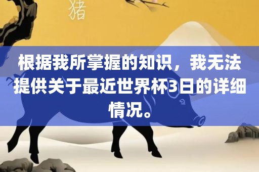 根据我所掌握的知识，我无法提供关于最近世界杯3日的详细情况。