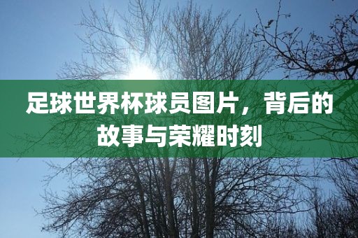 足球世界杯球员图片，背后的故事与荣耀时刻