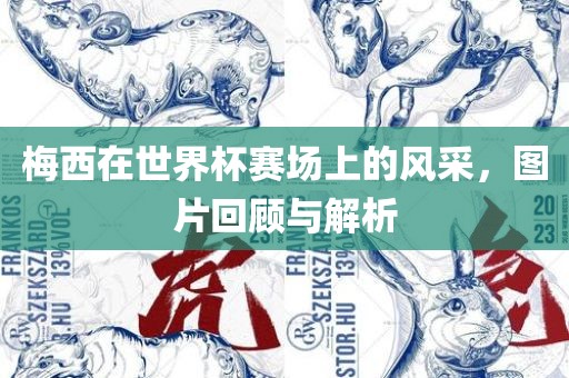梅西在世界杯赛场上的风采，图片回顾与解析