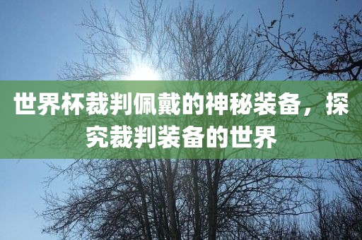 世界杯裁判佩戴的神秘装备，探究裁判装备的世界