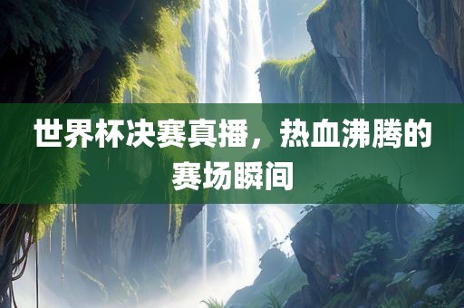 世界杯决赛真播，热血沸腾的赛场瞬间