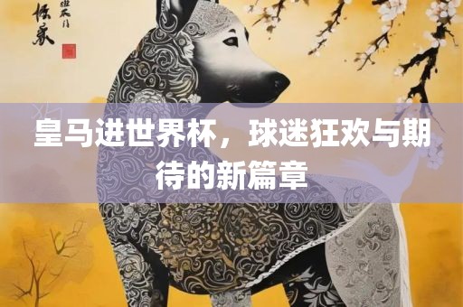 皇马进世界杯，球迷狂欢与期待的新篇章