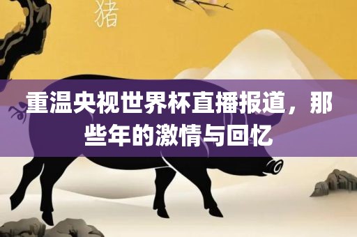重温央视世界杯直播报道，那些年的激情与回忆