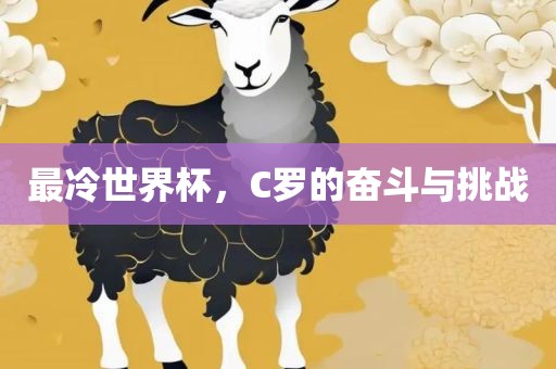 最冷世界杯，C罗的奋斗与挑战