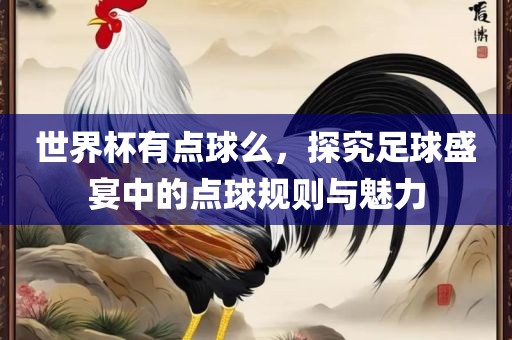 世界杯有点球么，探究足球盛宴中的点球规则与魅力