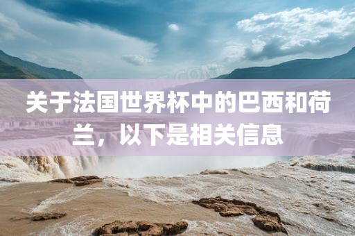 关于法国世界杯中的巴西和荷兰，以下是相关信息