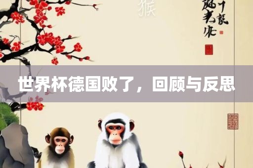 世界杯德国败了，回顾与反思