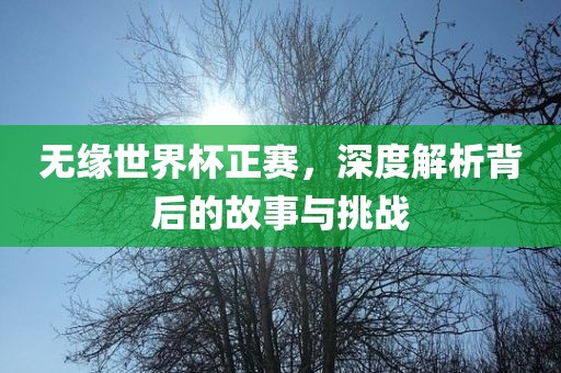 无缘世界杯正赛，深度解析背后的故事与挑战
