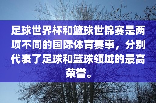 足球世界杯和篮球世锦赛是两项不同的国际体育赛事，分别代表了足球和篮球领域的最高荣誉。