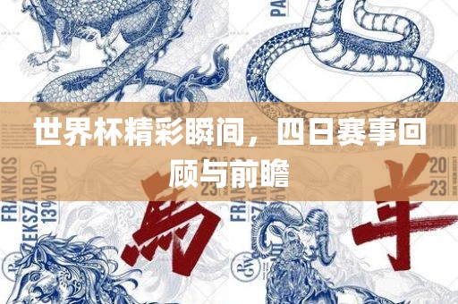 世界杯精彩瞬间，四日赛事回顾与前瞻