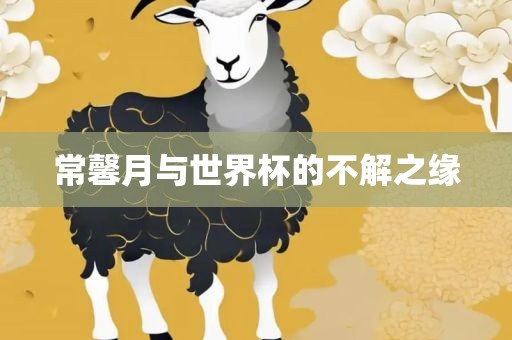 常馨月与世界杯的不解之缘